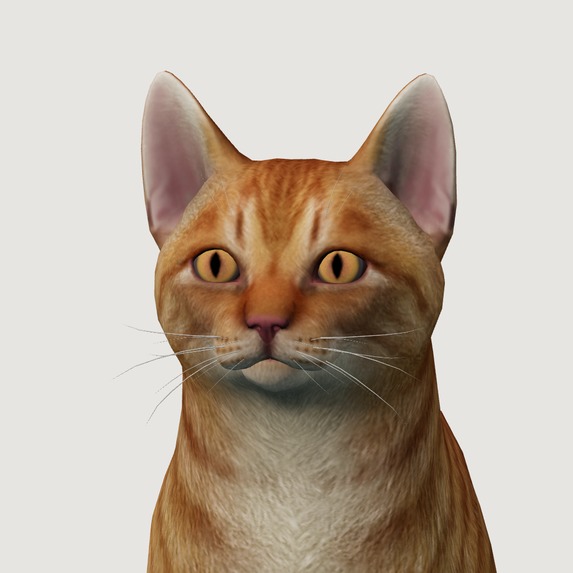 CleaNyan – screenshot 10
