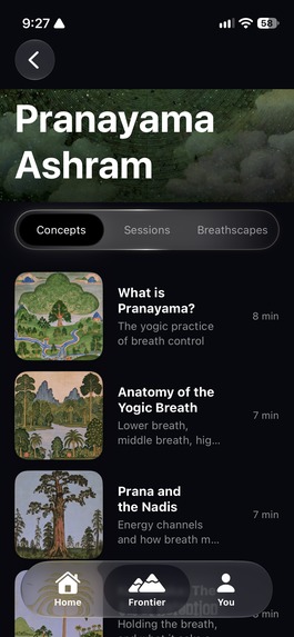 Pulmonaut – screenshot 7