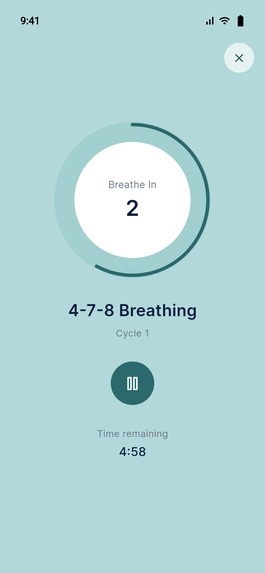 Gosober – screenshot 8