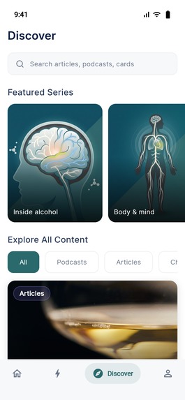 Gosober – screenshot 11