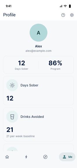 Gosober – screenshot 14