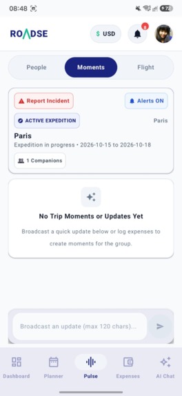 ROADSE – screenshot 8