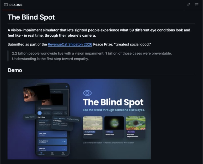 The Blind Spot – screenshot 6