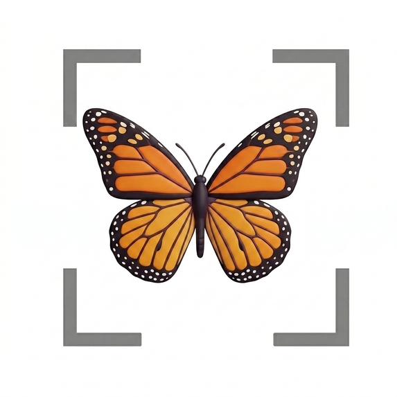 Buggle: AI Insect Identifier – screenshot 1