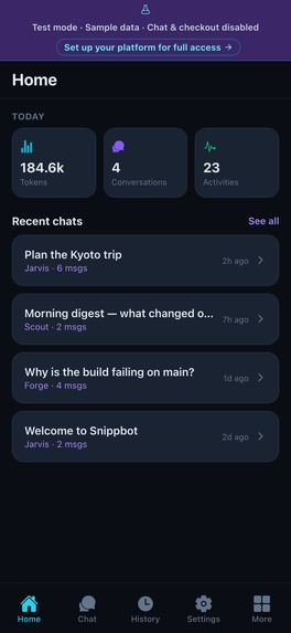 Snippbot – screenshot 2