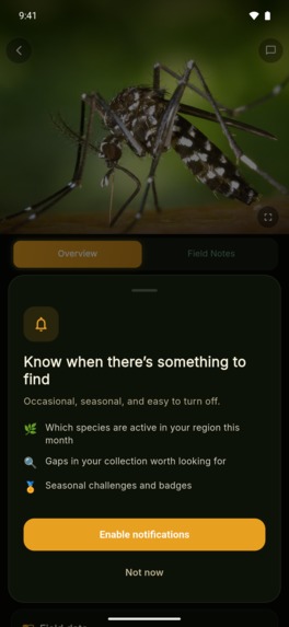 Buggle: AI Insect Identifier – screenshot 6