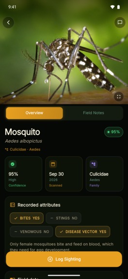 Buggle: AI Insect Identifier – screenshot 7
