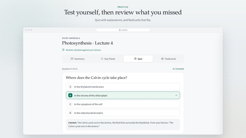 LectorAI: Turn Any Lesson into Mastery – screenshot 7