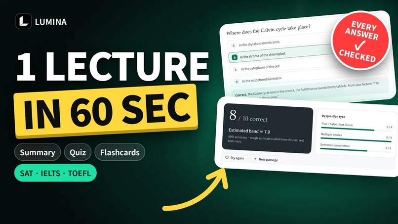 LectorAI: Turn Any Lesson into Mastery – screenshot 8