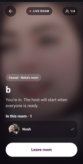 Blink – screenshot 2