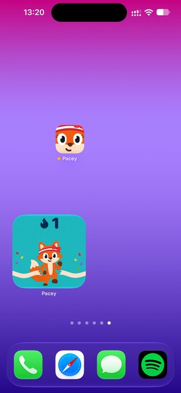 Pacey — AR Workout Tracker – screenshot 5