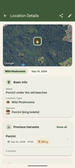 My Wild Patch – screenshot 3