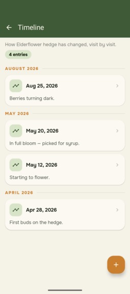 My Wild Patch – screenshot 5