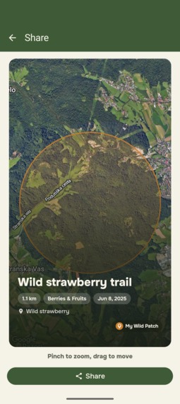 My Wild Patch – screenshot 11