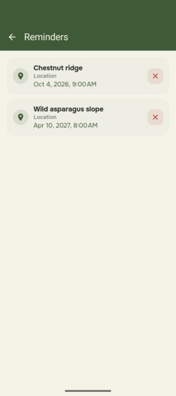 My Wild Patch – screenshot 12