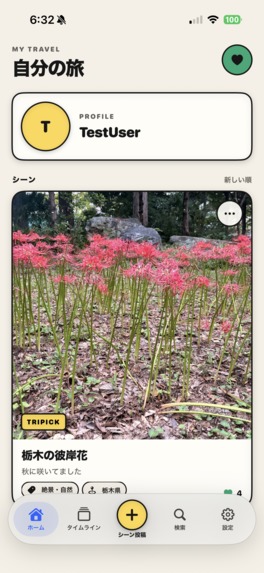 Tripick project – screenshot 5