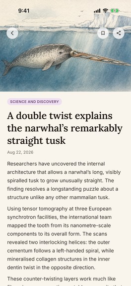 Good News Digest – screenshot 4