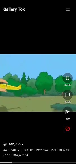 Gallery Tok – screenshot 2