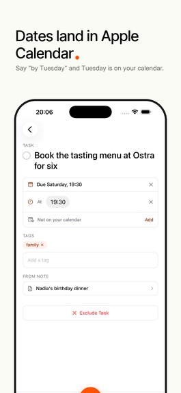 Saane Voice Notes – screenshot 5