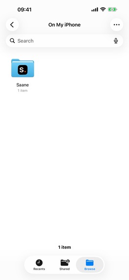 Saane Voice Notes – screenshot 10