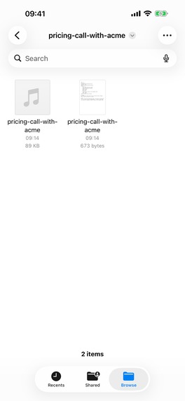 Saane Voice Notes – screenshot 13