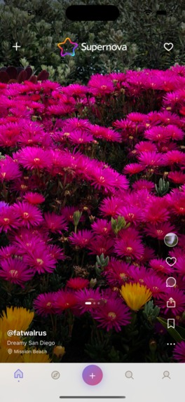 Supernova Travel – screenshot 1