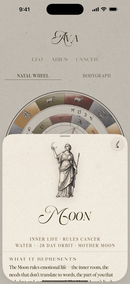 DIVINE: Human Design – screenshot 4