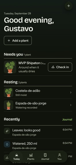 Rootera – screenshot 3