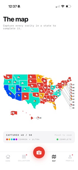 PL8 CLLCT: License Plate Game – screenshot 9