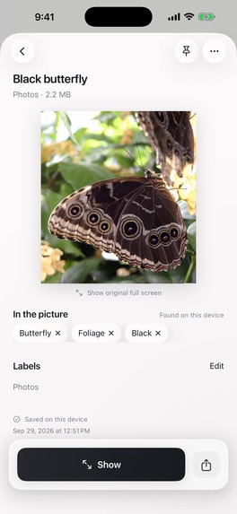 MagicPocket – screenshot 15