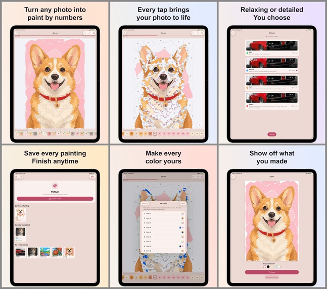 PicNum: Paint By Number – screenshot 2