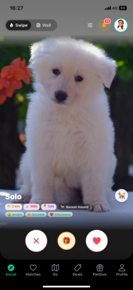 PETOO – screenshot 3