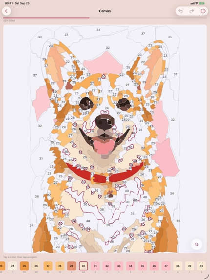 PicNum: Paint By Number – screenshot 6
