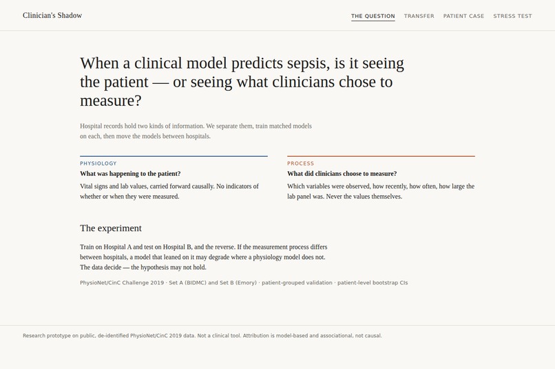 Clinician's Shadow – screenshot 1