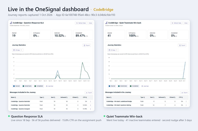 CodeBridge – screenshot 2