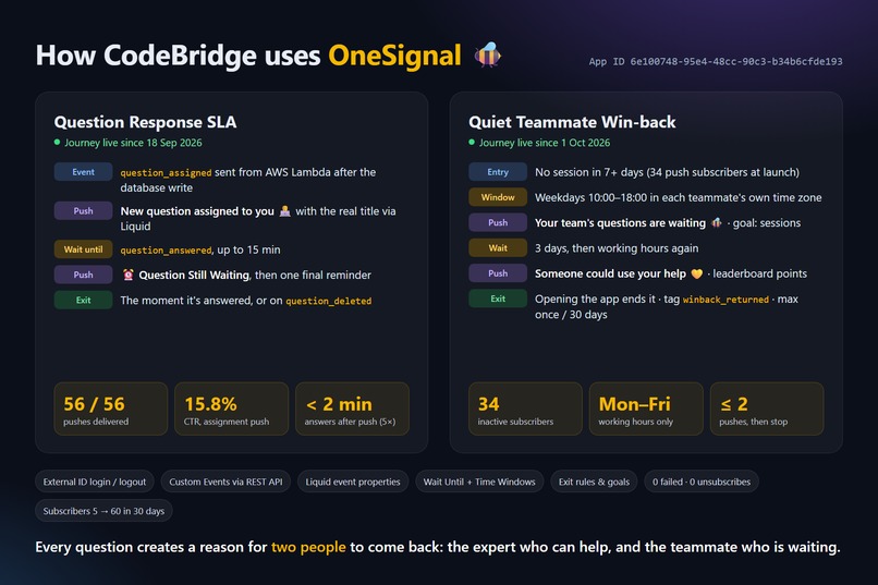 CodeBridge – screenshot 1