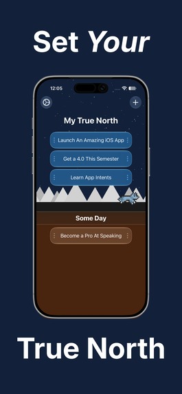 True North – screenshot 3
