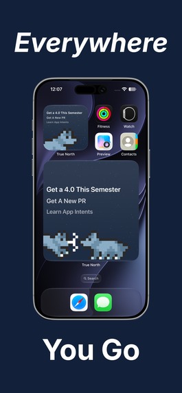 True North – screenshot 4