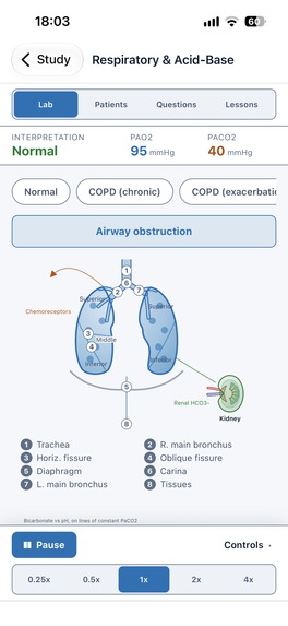 Bentara Physiology Lab – screenshot 10