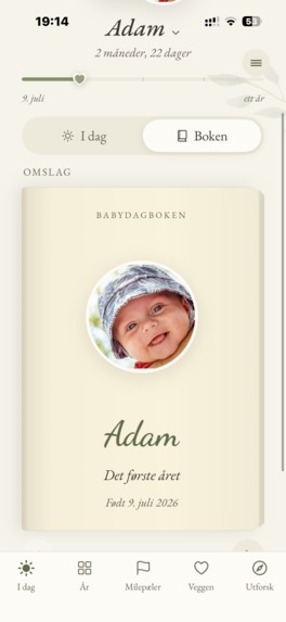 Tiny Diary (Babydagboken in Norwegian) – screenshot 4