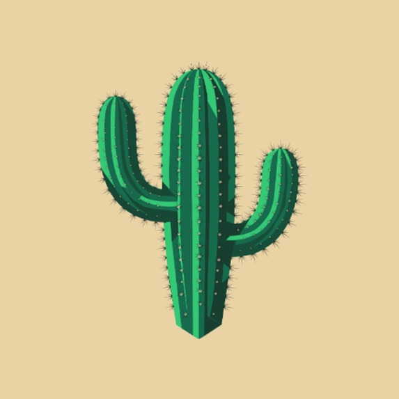 Cactus – screenshot 1