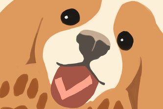 Pawmise: Daily Check-in