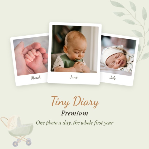 Tiny Diary (Babydagboken in Norwegian) – screenshot 1