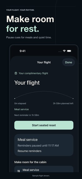 InFlight: Stretching Exercises – screenshot 3