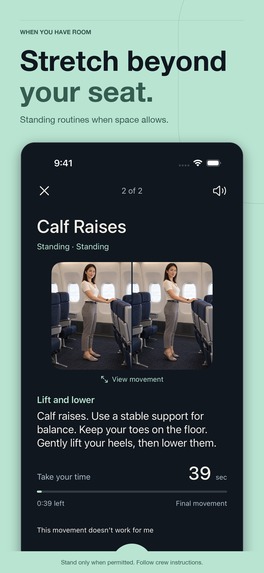 InFlight: Stretching Exercises – screenshot 5