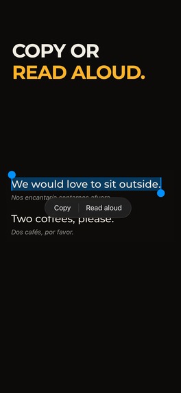 Knowless — Offline Live Translation – screenshot 2