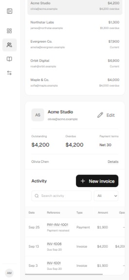Soulyagentic accounting  – screenshot 4