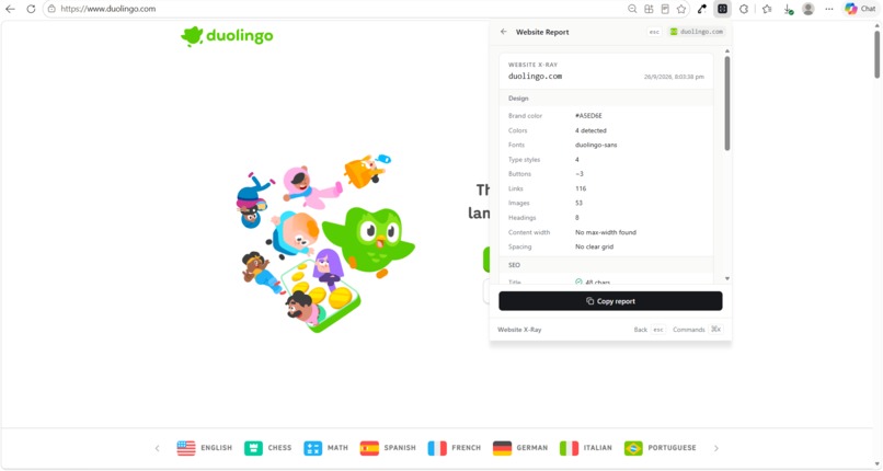 Website x-ray – screenshot 2