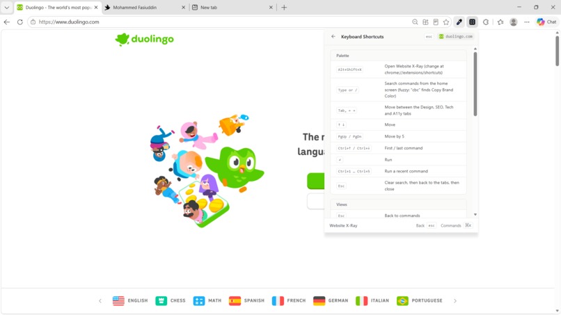 Website x-ray – screenshot 5
