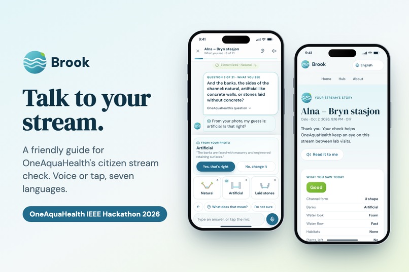 Brook — talk to your stream – screenshot 1